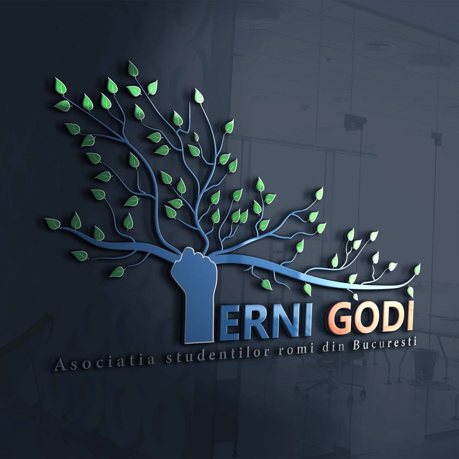 Comunitate dedicată tinerilor romi – Asociația Studenților Romi din București „Terni Godi”